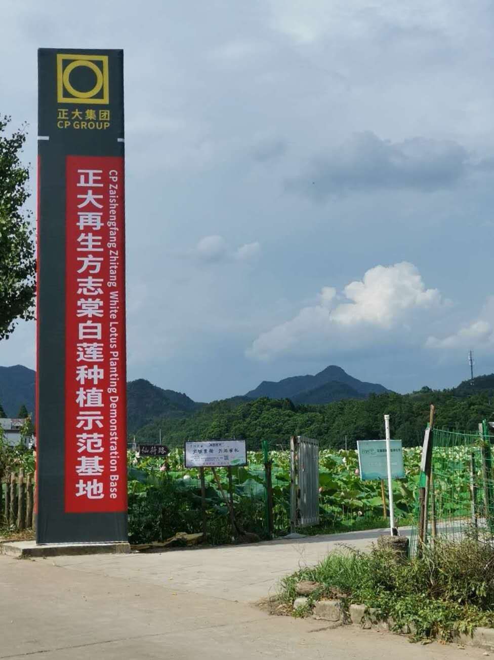 企业荣誉